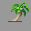 coconut_palm.png