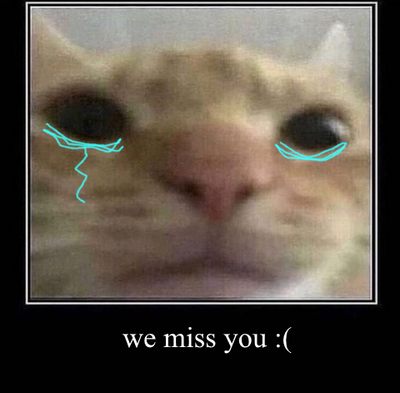 sadcat.png